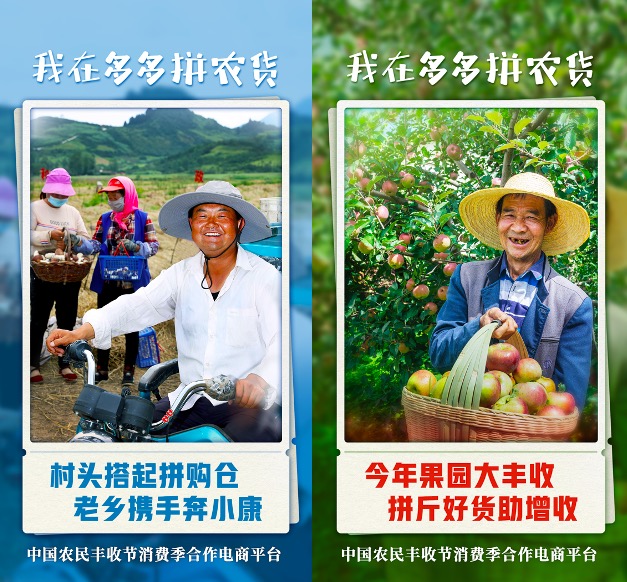 带货新农活儿 农业农村部联手拼多多按下丰收经济“快进键”